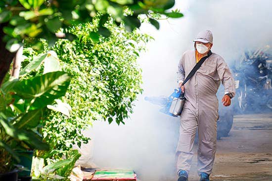 Pest control exterminator sprays a fog of mosquito control pesticide outside in the yard for prevention of mosquito bites
