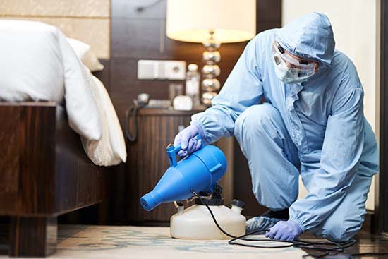 We treat and kill bed bugs in the Tulsa area