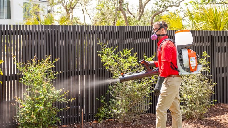 outdoor insect outdoor exterminator near me |outdoor bug control near me