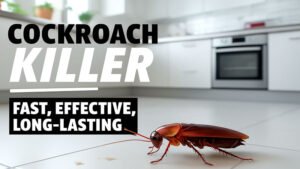 cockroach killer| pest control companies Tulsa, ok | tulsa pest control |