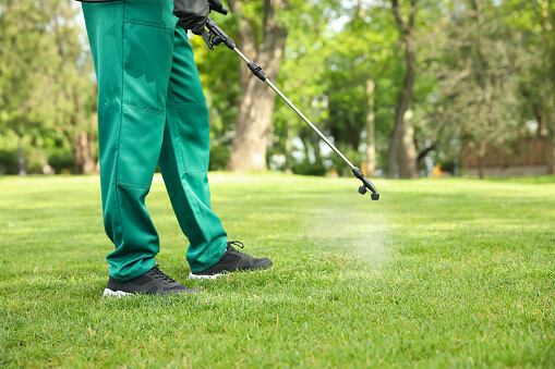 residual insecticide