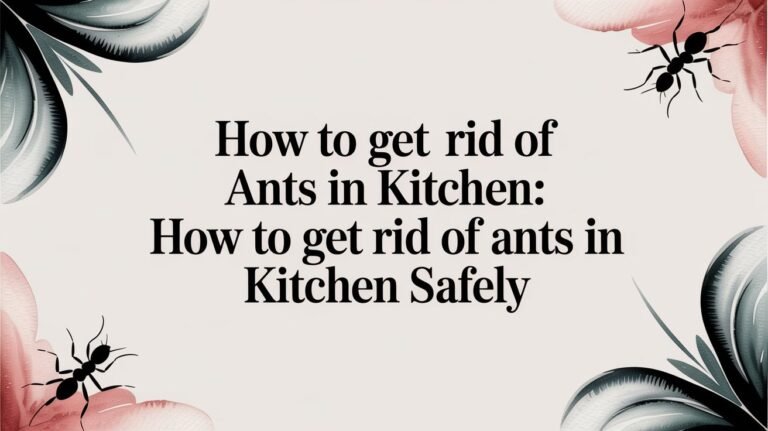 How to get rid of ants in kitchen: how to get rid of ants in kitchen safely